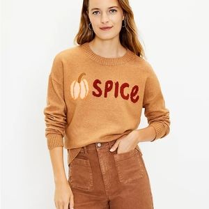 Loft Pumpkin Spice Sweater
